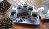 Coffee tasting.jpg