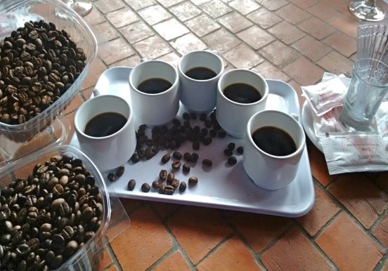 Coffee tasting.jpg