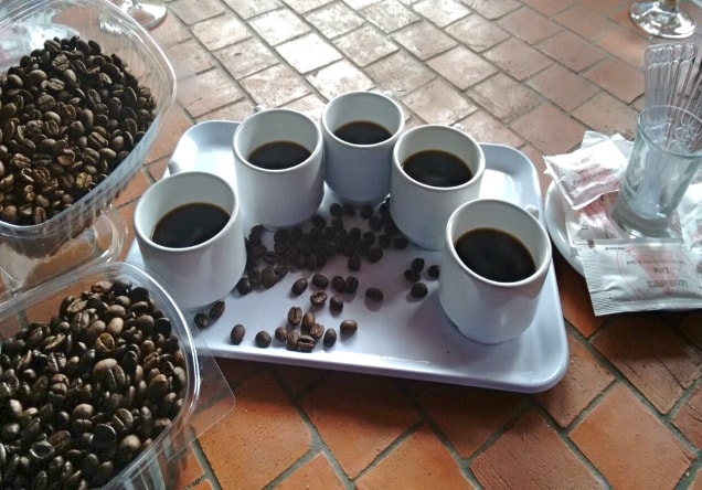 Coffee tasting.jpg