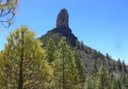 Hiking to Roque Nublo of Gran Canaria.jpg