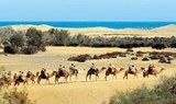 Maspalomas sand dunes.jpg