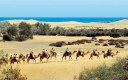 Maspalomas sand dunes.jpg