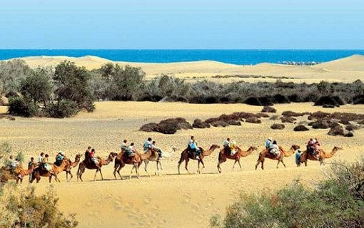 Maspalomas sand dunes.jpg