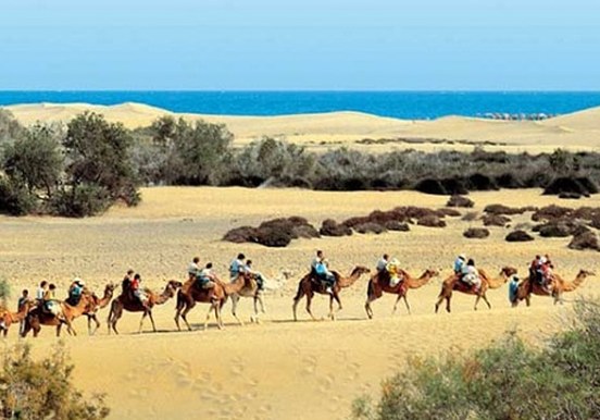 Maspalomas sand dunes.jpg