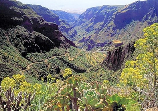 Rush green valley of Gran Canaria.jpg