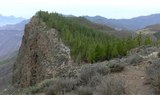 Scenic view of pine forest of Artenara hike.jpg