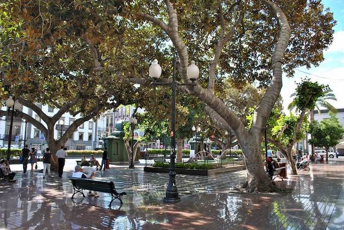 Tranquil and shaded plaza in Las Palmas, Gran Canaria.jpg