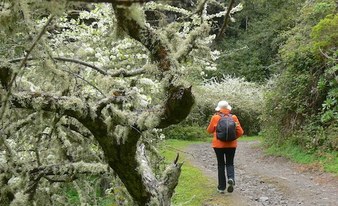 Way to Valsendero: The Enchanted Forest Route