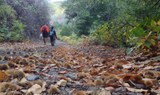 Enchanted forest hiking route Gran Canaria.jpg