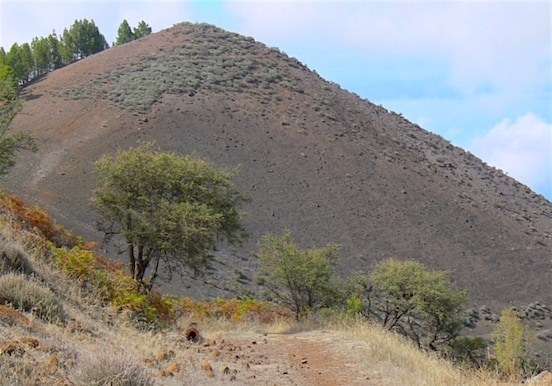 Forest trail hike in Gran Canaria.jpg