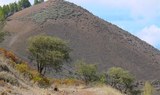 Forest trail hike in Gran Canaria.jpg