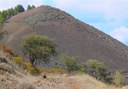 Forest trail hike in Gran Canaria.jpg