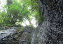 Gran Canaria enchanting forest hiking route.jpg