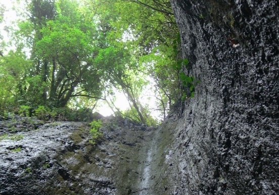 Gran Canaria enchanting forest hiking route.jpg