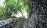 Gran Canaria enchanting forest hiking route.jpg