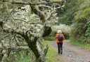 Gran Canaria hike Valsendero.jpg