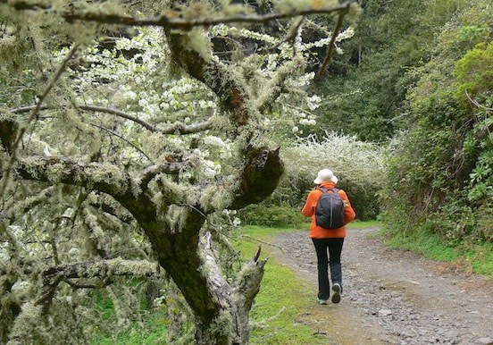 Gran Canaria hike Valsendero.jpg