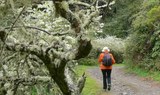Gran Canaria hike Valsendero.jpg