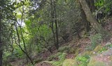 Hiking in Gran Canaria Valsendero route.jpg