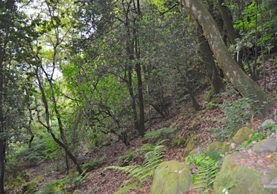 Hiking in Gran Canaria Valsendero route.jpg