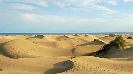dunas-saharianas-playa.jpg
