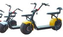 electrici scooter Chopper self guided tour.jpg