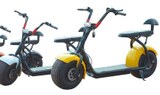 electrici scooter Chopper self guided tour.jpg