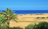 Maspalomas sand dunes.jpg