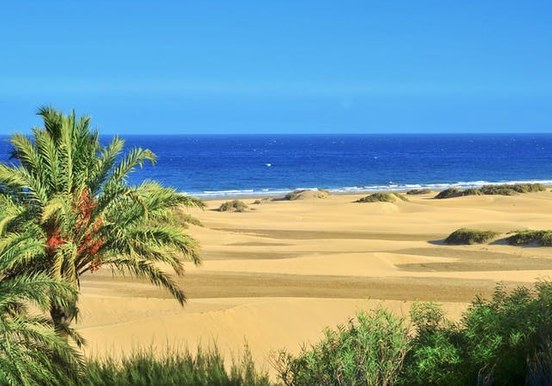 Maspalomas sand dunes.jpg