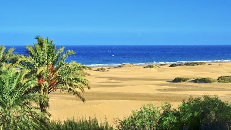 Maspalomas sand dunes.jpg