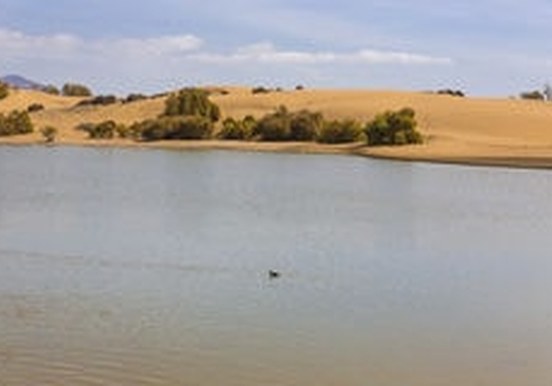 The oasis of Mapalomas.jpg