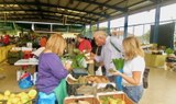 Market visit on bike tour.jpg