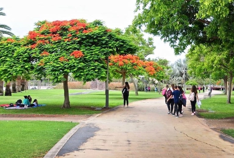 parque-Sur.jpg