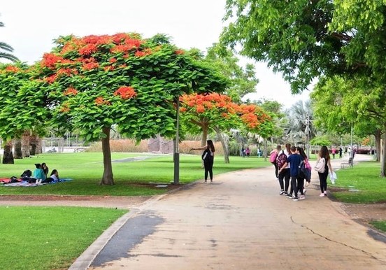 parque-Sur.jpg