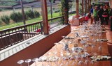 Gran Canaria hiking and wine tasting.jpg