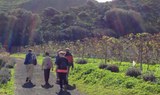 Gran Canaria hiking and wineyard visit.jpg