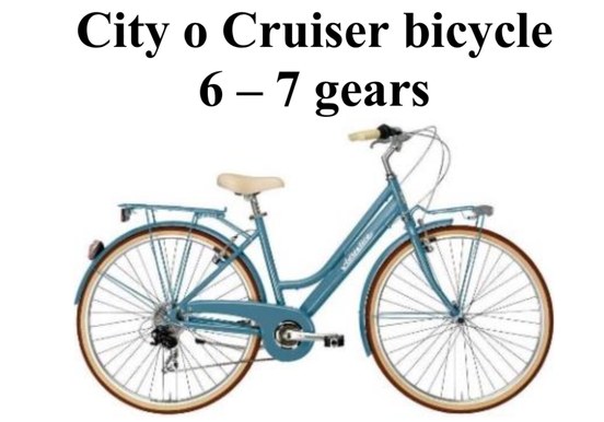 City or cruiser bike rental Maspalomas.jpg