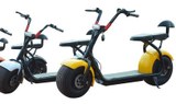 electric scooter Chopper self guided tour.jpg