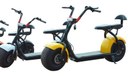 electric scooter Chopper self guided tour.jpg