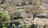 Gran Canaria natural triangle hike.jpg