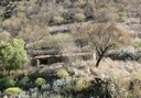 Gran Canaria natural triangle hike.jpg