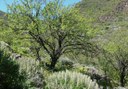 Guayadeque – Los Marteles – Tirajana hiking trail-min.jpg