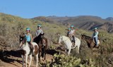 Horse riding Gran Canaria.jpg
