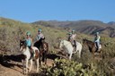 Horse riding Gran Canaria.jpg