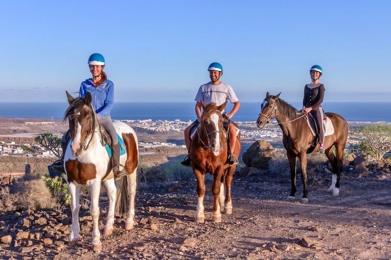 Horse riding with coastal view.jpg