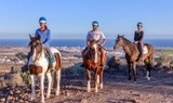 Horse riding with coastal view.jpg