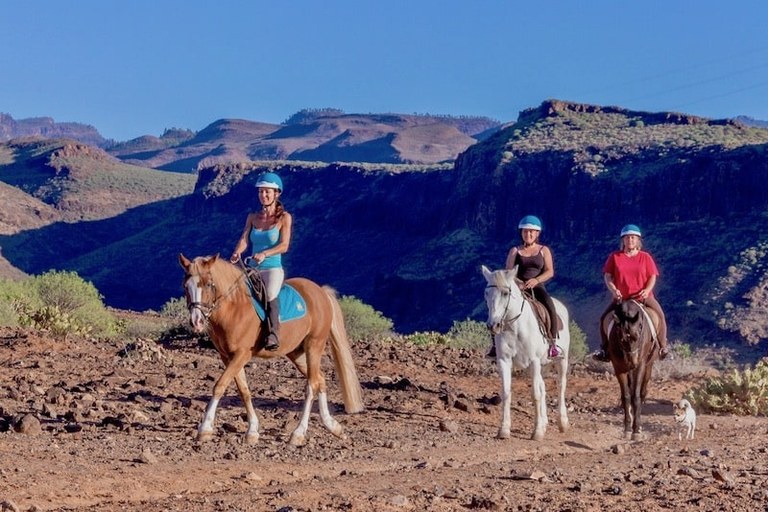 Scenic horse riding Gran Canaria.jpg