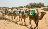 Maspalomas Bike Tour and Camel Safari.jpeg