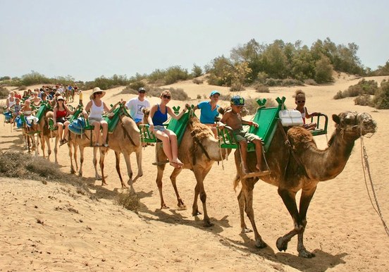 Maspalomas Bike Tour and Camel Safari.jpeg