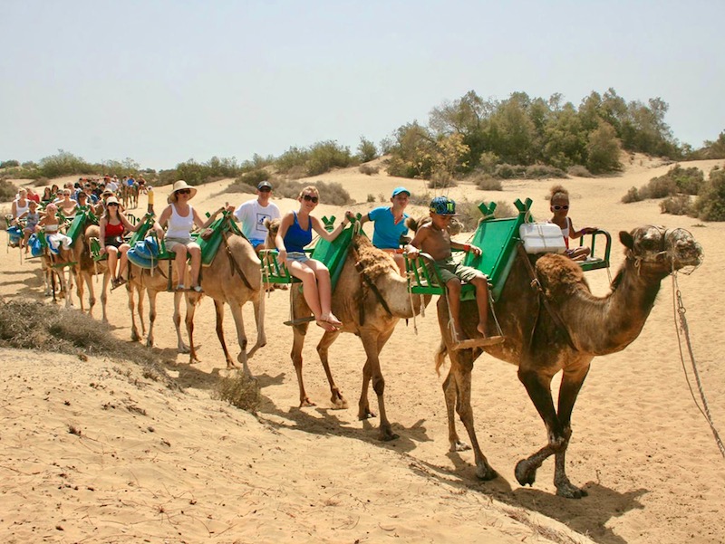Maspalomas Bike Tour and Camel Safari.jpeg